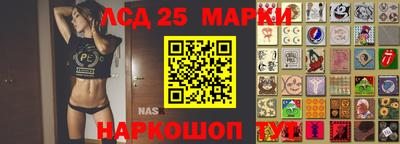гидропоника Партизанск
